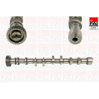 Arbre à came FAI AutoParts C361