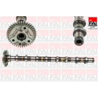 Arbre à came FAI AutoParts C381