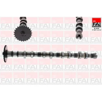 Arbre à came FAI AutoParts C387
