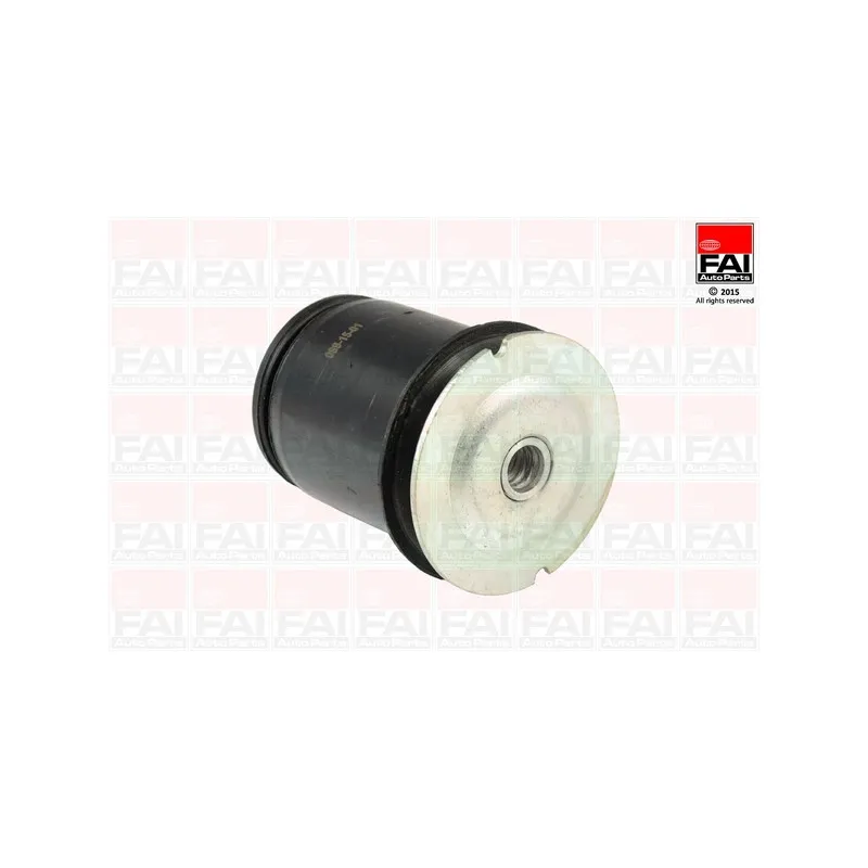 Suspension, corps de l'essieu FAI AutoParts SS8041