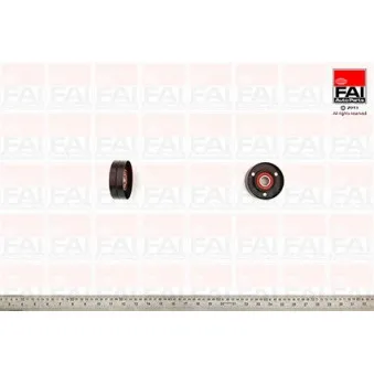 Poulie renvoi/transmission, courroie trapézoïdale à nervures FAI AutoParts T1068