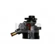 Pompe hydraulique, direction LAUBER 55.0094 - Visuel 3