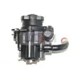 Pompe hydraulique, direction LAUBER 55.0264 - Visuel 1