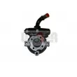 Pompe hydraulique, direction LAUBER 55.0334 - Visuel 1