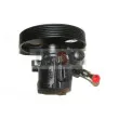 Pompe hydraulique, direction LAUBER 55.0359 - Visuel 1
