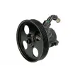 Pompe hydraulique, direction LAUBER 55.0379 - Visuel 1