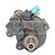 Pompe hydraulique, direction LAUBER 55.0387 - Visuel 2