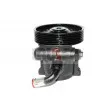 Pompe hydraulique, direction LAUBER 55.0388 - Visuel 1