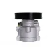 Pompe hydraulique, direction LAUBER 55.0396 - Visuel 3