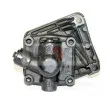 Pompe hydraulique, direction LAUBER 55.0628 - Visuel 3