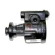Pompe hydraulique, direction LAUBER 55.0705 - Visuel 1
