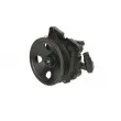 Pompe hydraulique, direction LAUBER 55.2914 - Visuel 1