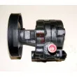 Pompe hydraulique, direction LAUBER 55.5295 - Visuel 1
