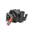 Pompe hydraulique, direction LAUBER 55.6097 - Visuel 1