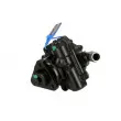 Pompe hydraulique, direction LAUBER 55.6103 - Visuel 1
