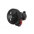 Pompe hydraulique, direction LAUBER 55.6106 - Visuel 1