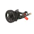 Pompe hydraulique, direction LAUBER 55.6118 - Visuel 1