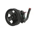 Pompe hydraulique, direction LAUBER 55.6143 - Visuel 1