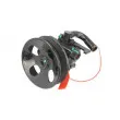 Pompe hydraulique, direction LAUBER 55.6147 - Visuel 1