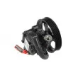 Pompe hydraulique, direction LAUBER 55.6152 - Visuel 2