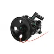 Pompe hydraulique, direction LAUBER 55.6156 - Visuel 1