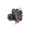 Pompe hydraulique, direction LAUBER 55.9150 - Visuel 1