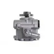 Pompe hydraulique, direction LAUBER 55.9151 - Visuel 3