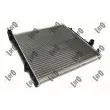 Radiateur, refroidissement du moteur ABAKUS 004-017-0009 - Visuel 1