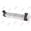 Intercooler, échangeur ABAKUS 004-018-0011 - Visuel 2