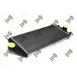 Intercooler, échangeur ABAKUS 009-018-0004 - Visuel 1