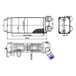 Intercooler, échangeur ABAKUS 009-018-0006 - Visuel 3