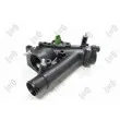 Boîtier du thermostat ABAKUS 009-025-0003 - Visuel 1