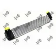 Intercooler, échangeur ABAKUS 010-018-0003 - Visuel 1