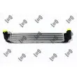 Intercooler, échangeur ABAKUS 010-018-0003 - Visuel 2