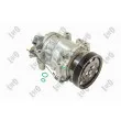 Compresseur, climatisation ABAKUS 010-023-0001 - Visuel 1