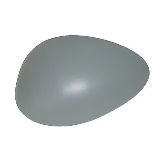 Revêtement, rétroviseur extérieur ABAKUS 0105C02