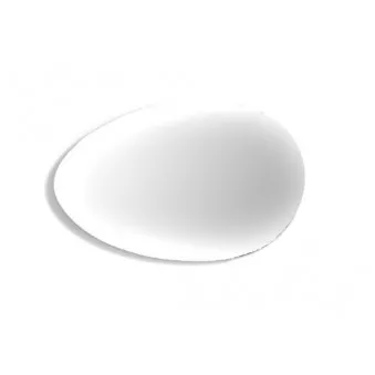 Verre de rétroviseur, rétroviseur extérieur ABAKUS 0107G03