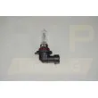Ampoule, projecteur longue portée RAP LIGHTING RAP-HB3 - Visuel 1