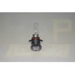 Ampoule, projecteur longue portée RAP LIGHTING RAP-HB3 - Visuel 2