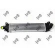 Intercooler, échangeur ABAKUS 017-018-0001 - Visuel 2