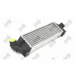 Intercooler, échangeur ABAKUS 017-018-0005 - Visuel 1