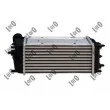 Intercooler, échangeur ABAKUS 017-018-0018 - Visuel 2