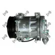 Compresseur, climatisation ABAKUS 017-023-0001 - Visuel 2