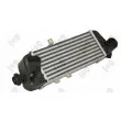 Intercooler, échangeur ABAKUS 019-018-0001 - Visuel 1