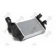 Intercooler, échangeur ABAKUS 037-018-0003 - Visuel 1