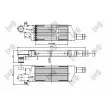 Intercooler, échangeur ABAKUS 037-018-0015 - Visuel 3