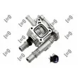 Boîtier du thermostat ABAKUS 037-025-0032 - Visuel 1
