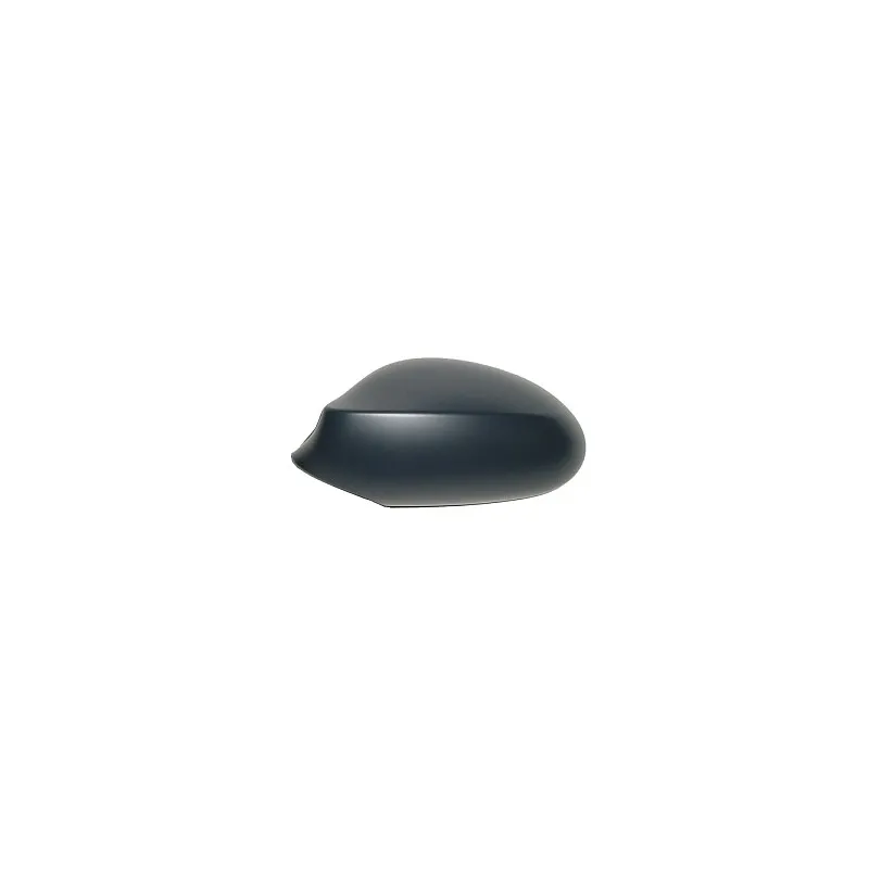 Revêtement, rétroviseur extérieur ABAKUS 0401C02
