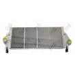 Intercooler, échangeur ABAKUS 042-018-0001 - Visuel 1