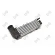 Intercooler, échangeur ABAKUS 046-018-0003 - Visuel 2